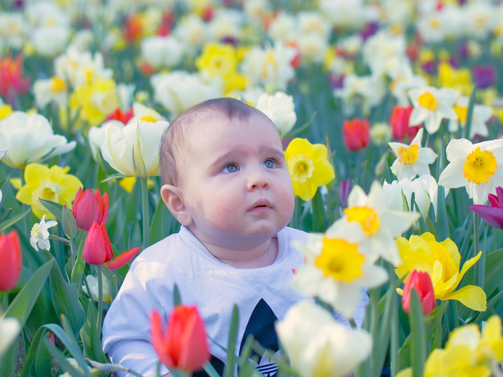 Маленький ребенок сидит на клумбе с тюльпанами и нарциссами 