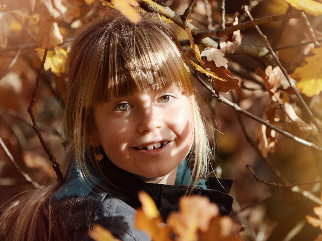 Маленькая девочка в ветках дерева осенью 