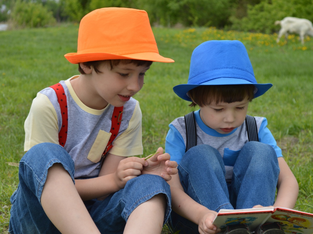 Два мальчика с книгой сидят на траве