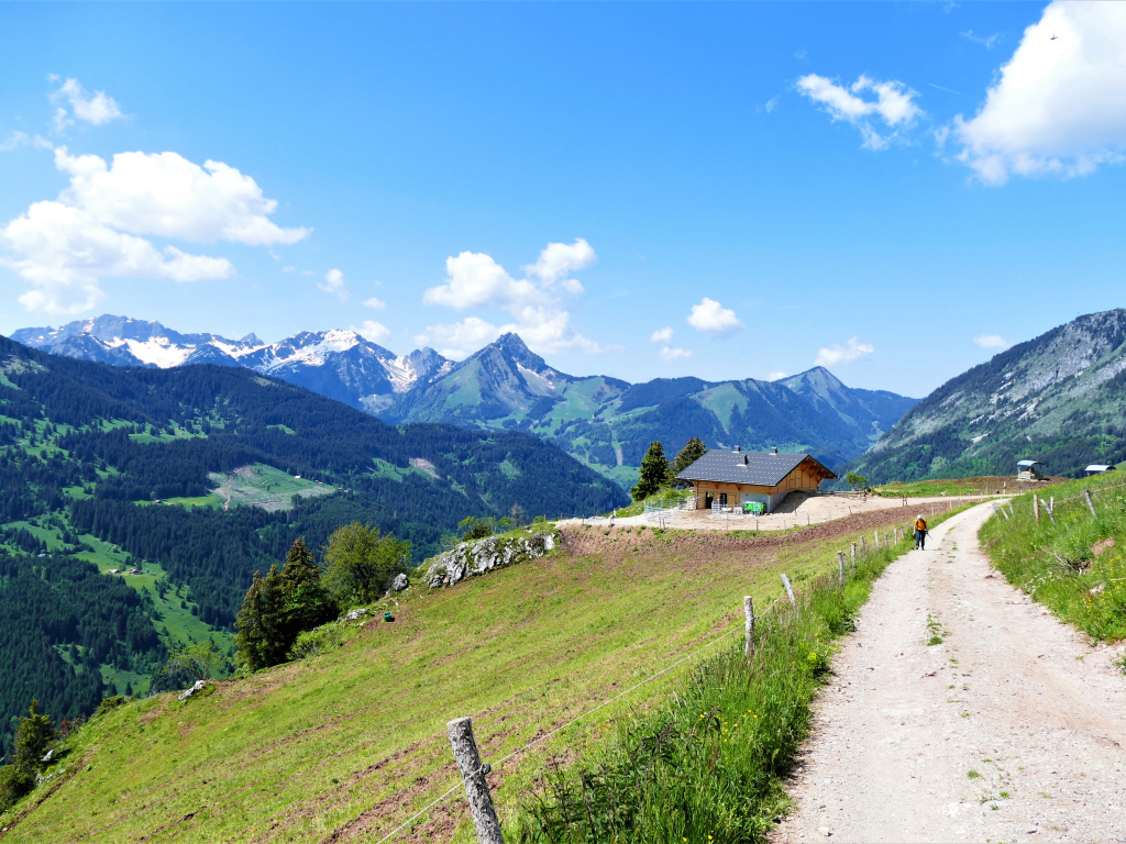 Красивый вид на покрытые зеленью Альпы, Франция 