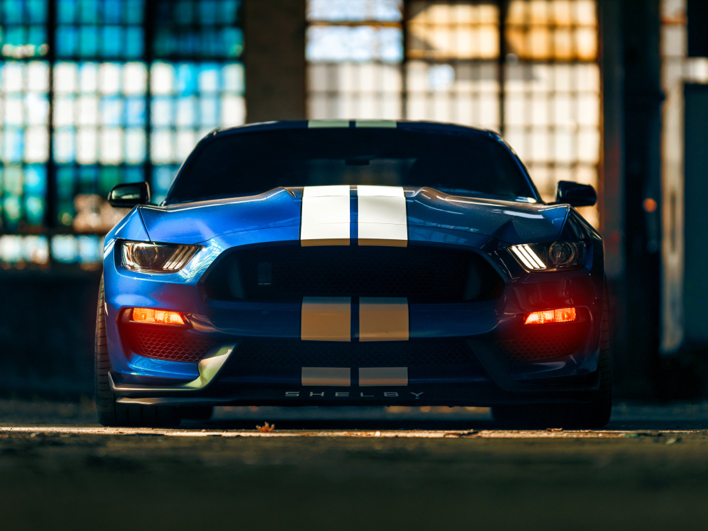 Красивый гоночный автомобиль Ford Mustang Shelby GT350 вид спереди