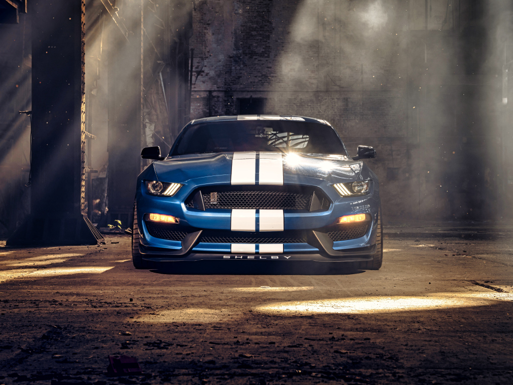 Гоночный автомобиль Ford Mustang Shelby GT350 вид спереди