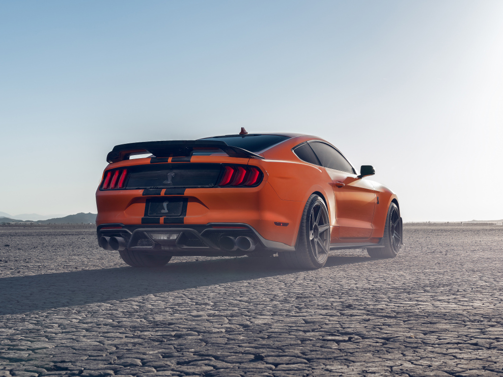 Быстрый Ford Shelby GT500 вид сзади
