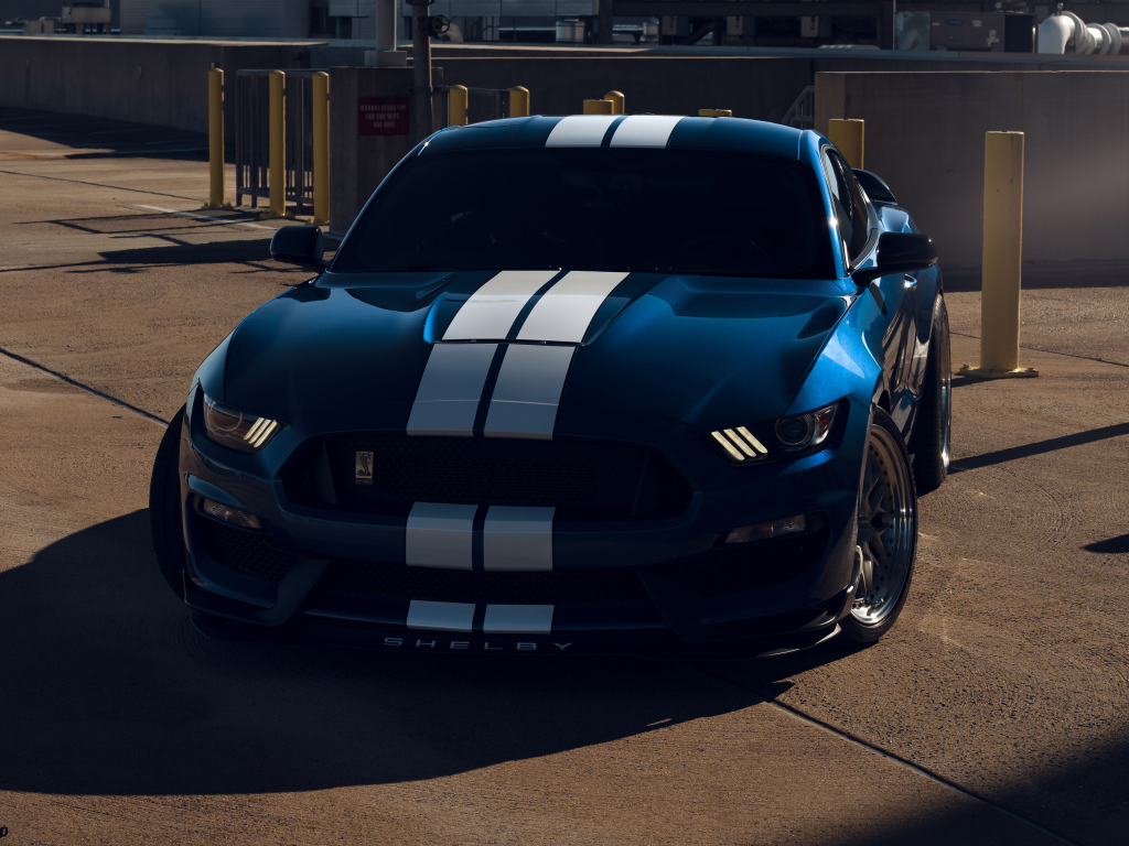 Вид на автомобиль Ford Mustang Shelby GT350