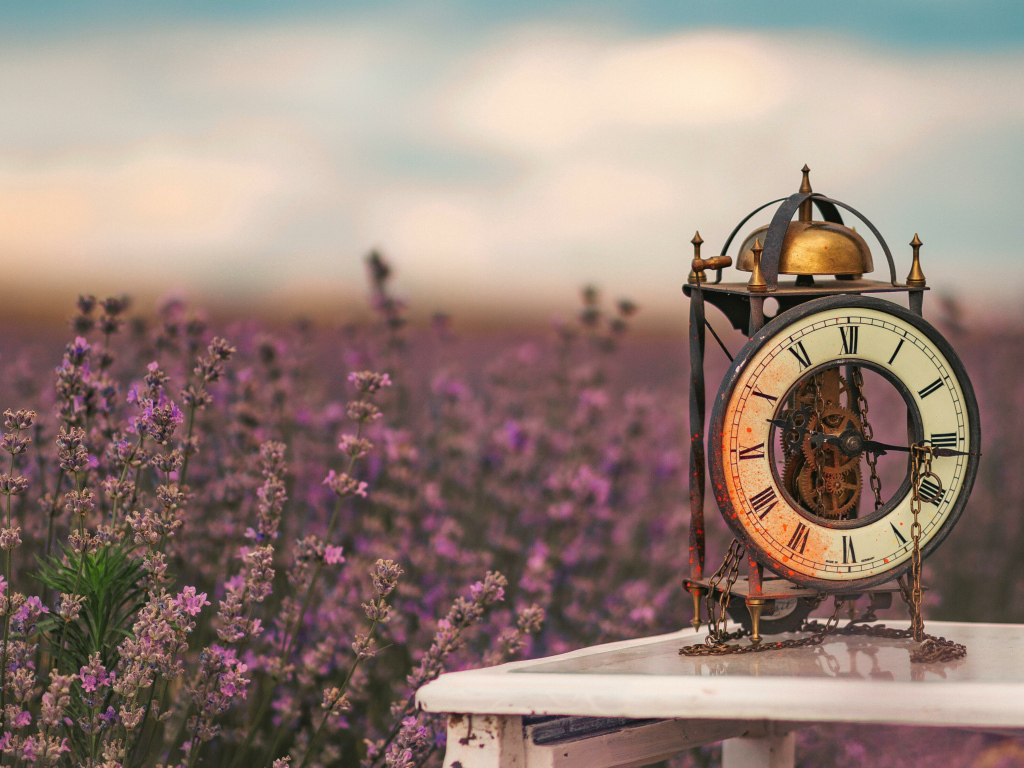 Старинный часы стоят на столе у лавандового поля