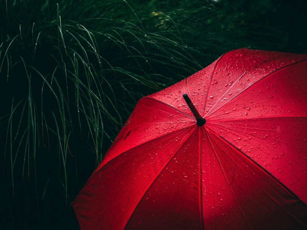 Большой красный зонт в траве под дождем