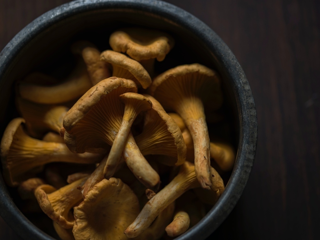 Грибы лисички в миске на столе