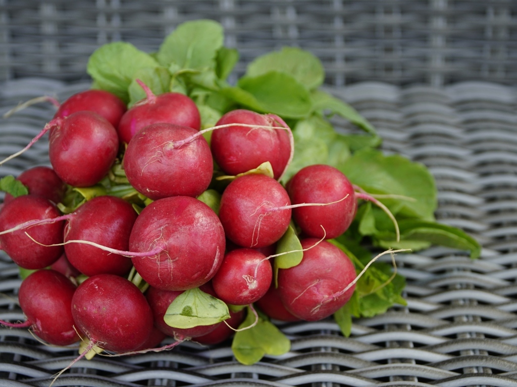 Свежий красный редис на столе