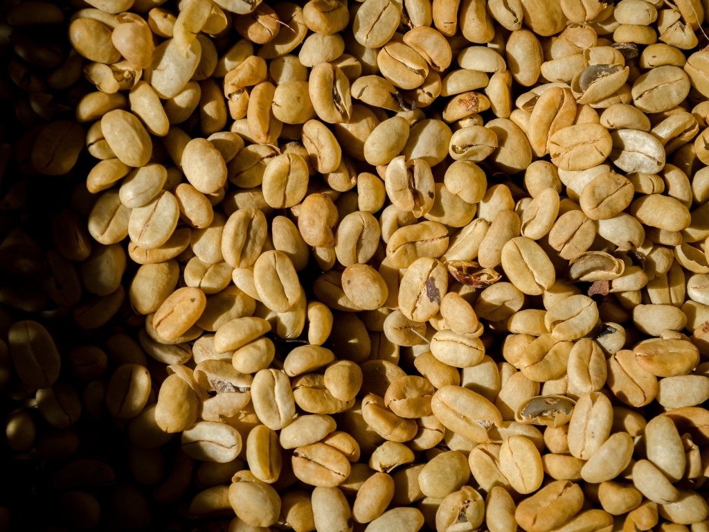 Зеленые ароматные зерна черного кофе