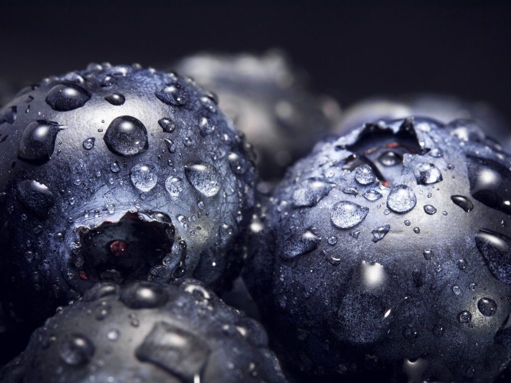 Круглые ягоды черники в каплях воды