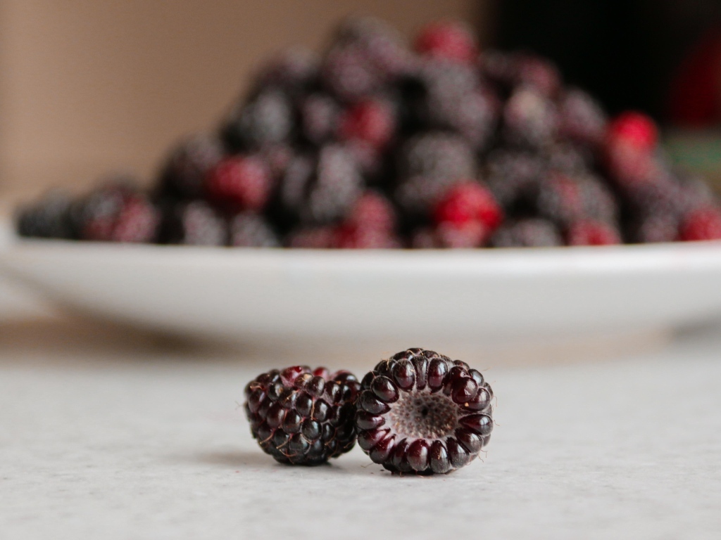 Две ягоды ежевики крупным планом