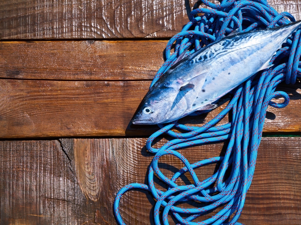 Свежая рыба с веревкой на деревянном столе