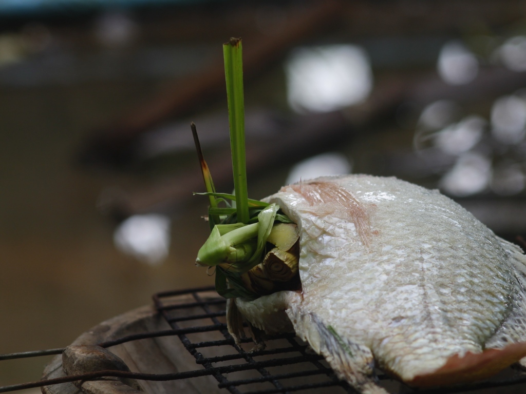 Рыба фаршированная зеленью на гриле