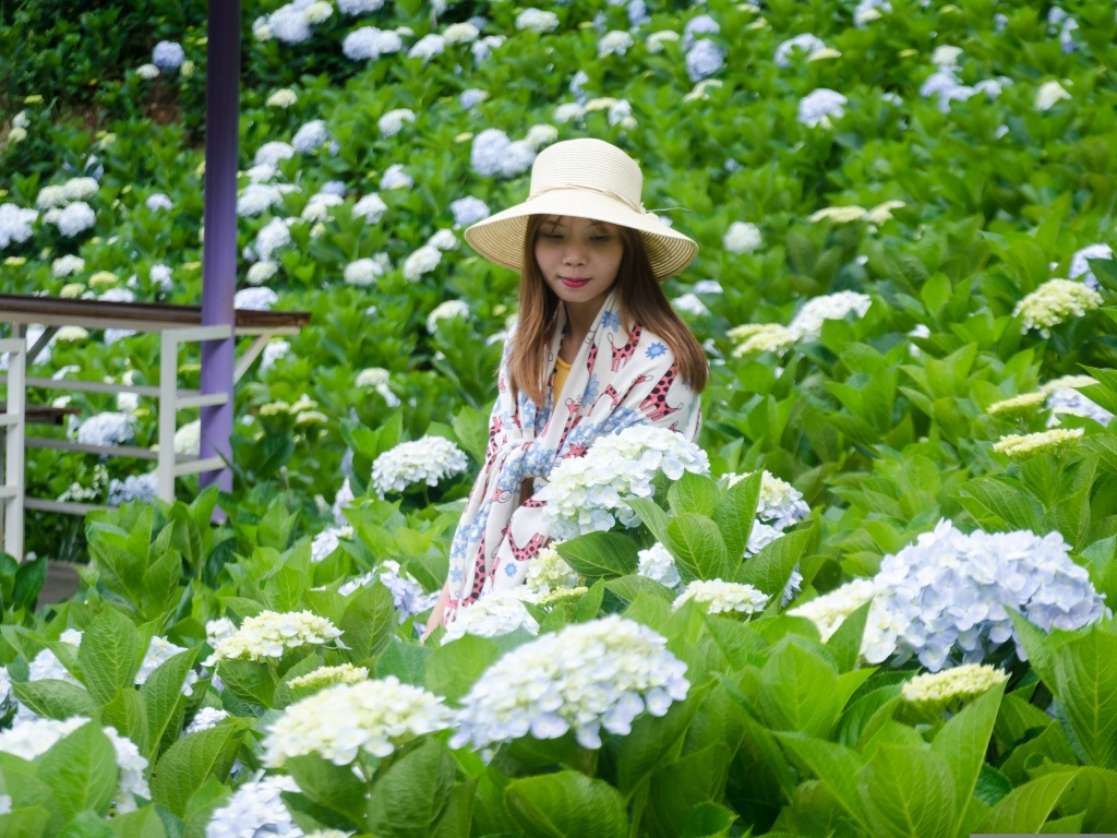 Девушка азиатка сидит в цветах гортензии