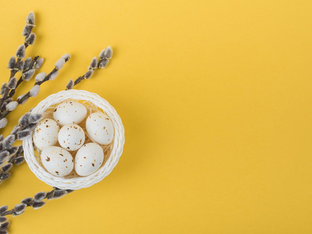 Ветки вербы и яйца на желтом фоне шаблон поздравительной открытки на Пасху