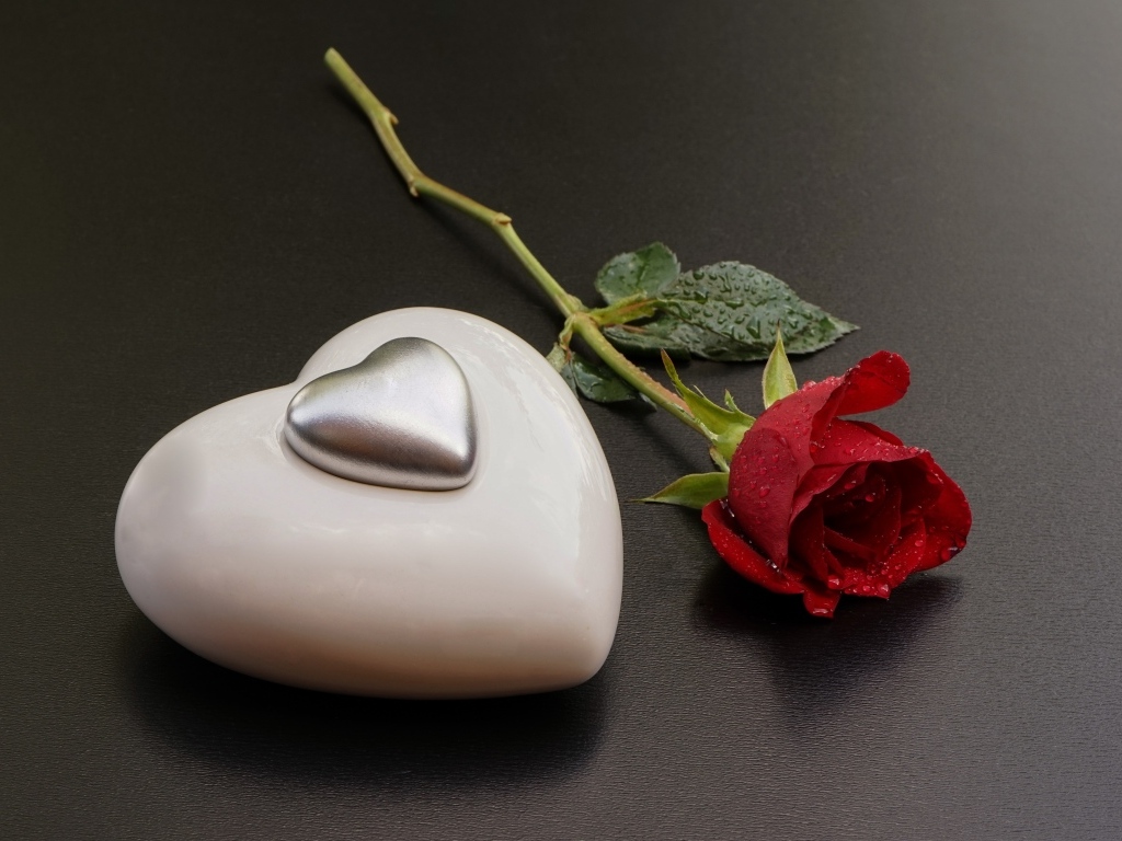 Большое белое сердце с красной розой