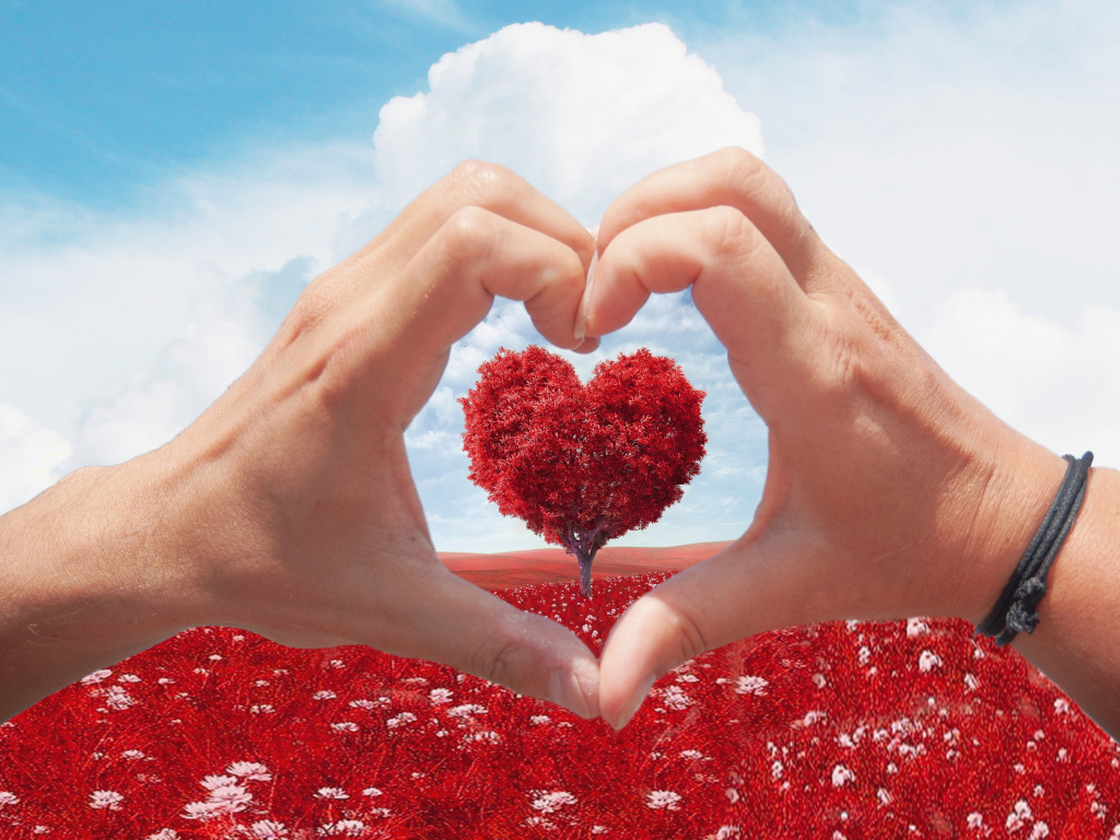 Две руки создают сердце на фоне дерева