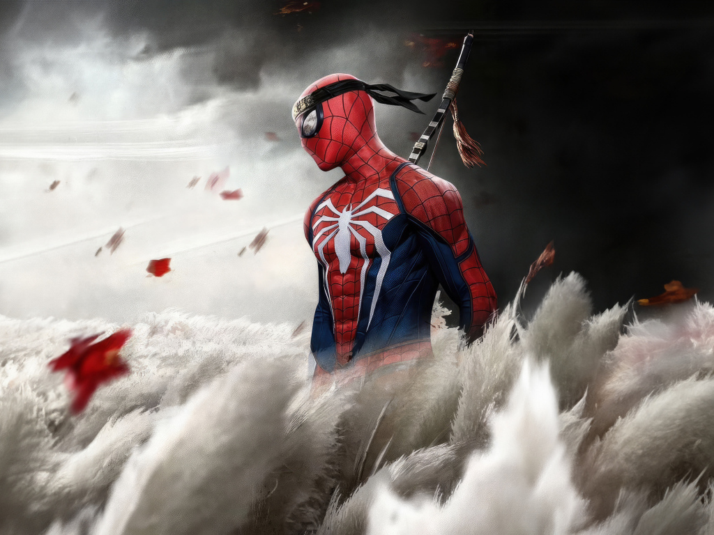 Ниндзя Человек паук на поле