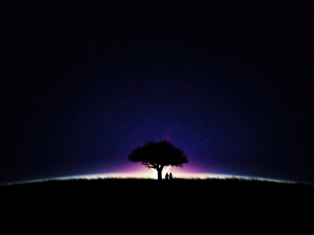 Большое дерево на фоне неба ночью