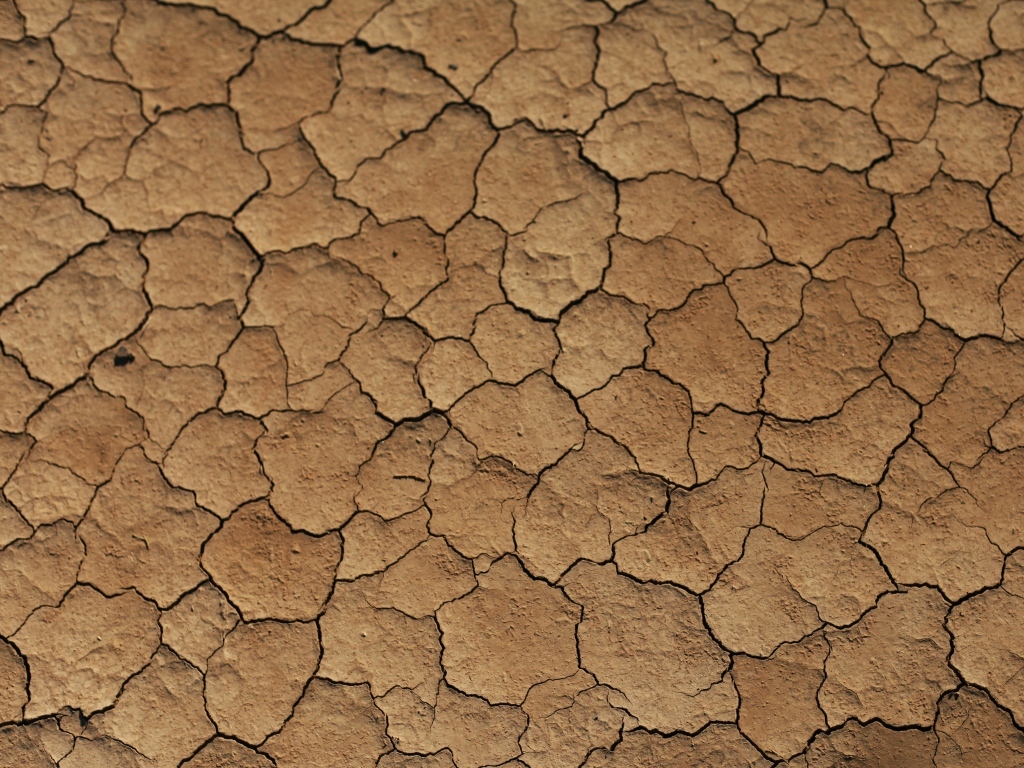 Трещины на сухой земле 