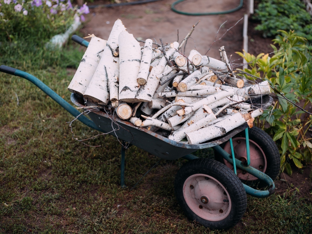 Железная тачка с дровами с березы