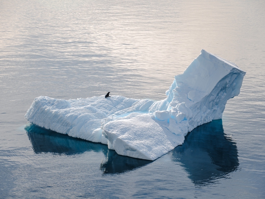 Большой холодный айсберг водах Антарктики