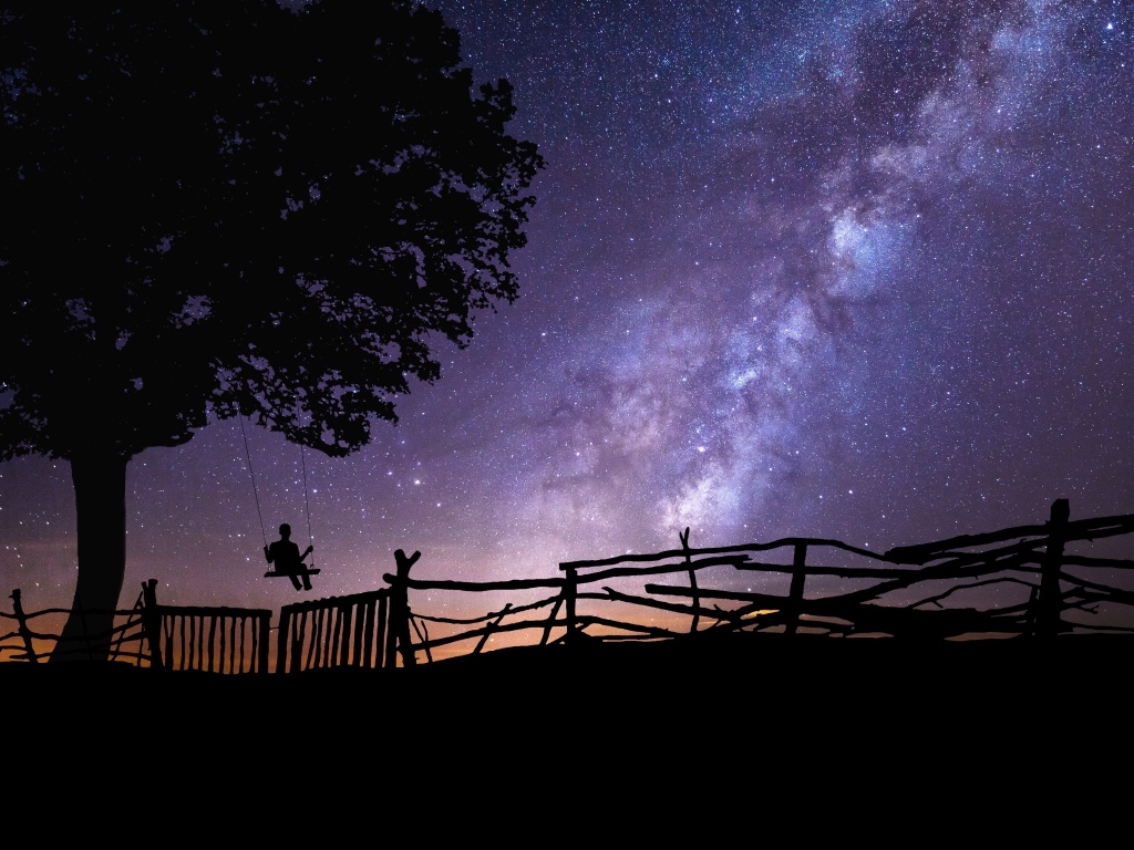 Млечный путь в небе над деревом