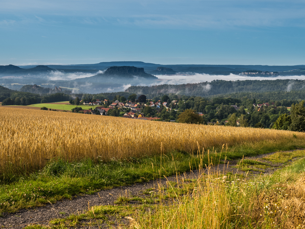 Туман над городом у поля с пшеницей 