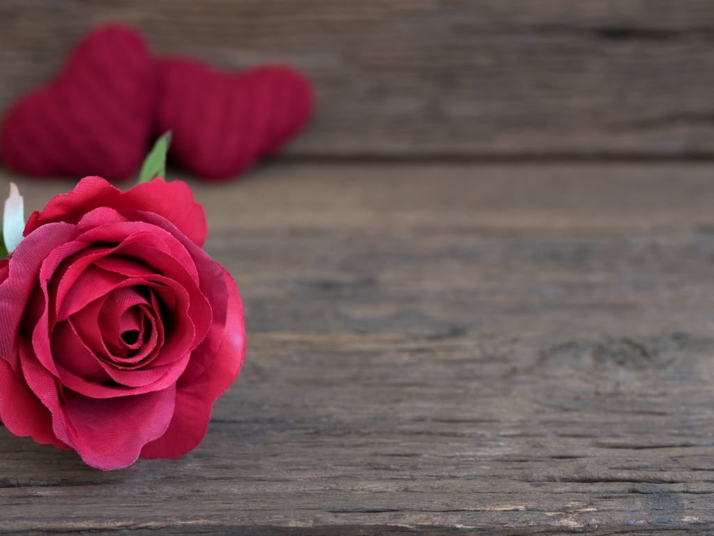 Искусственная роза на деревянном фоне с сердечками