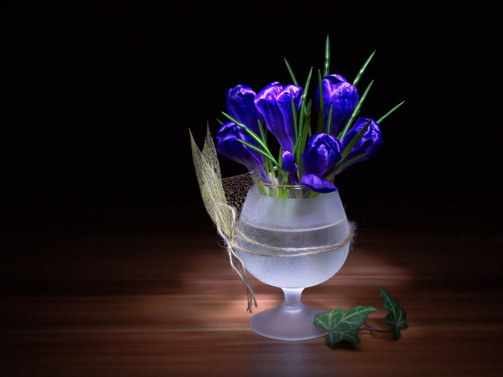 Синие крокусы в бокале на столе