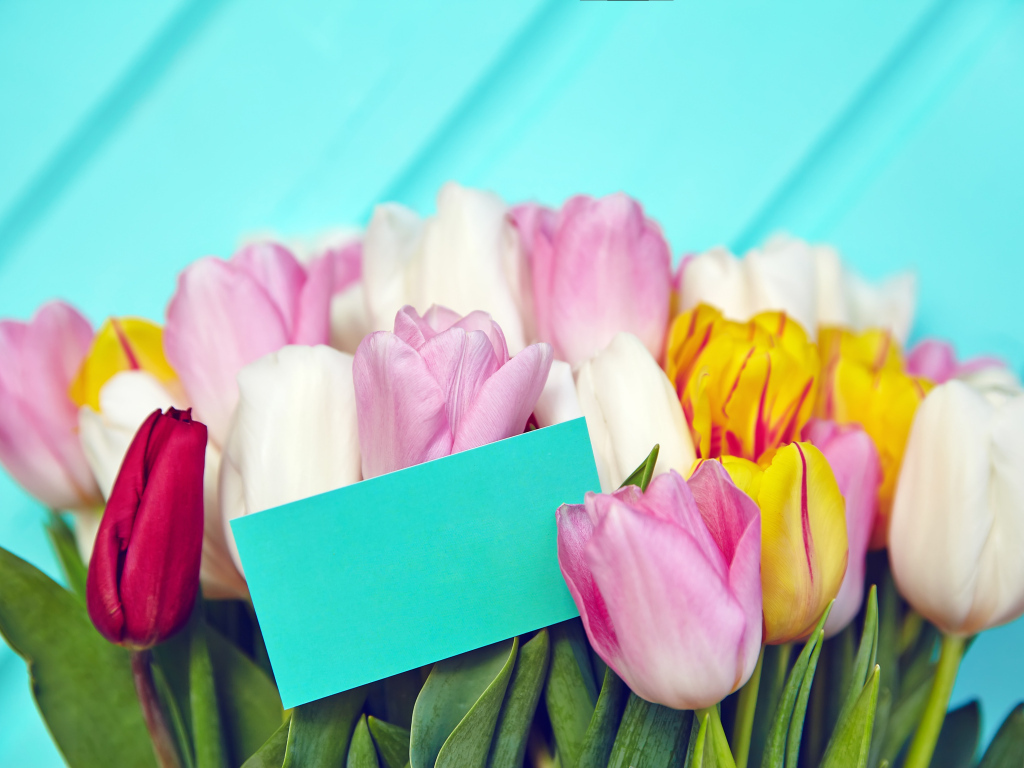 Букет разноцветных тюльпанов с открыткой
