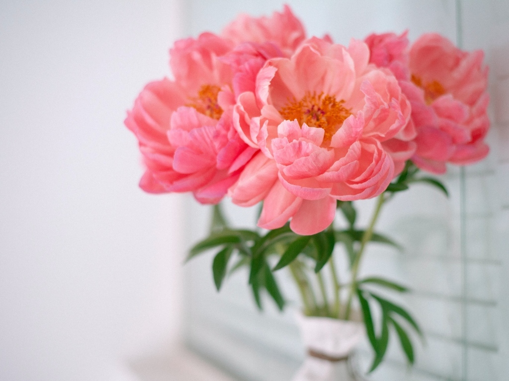 Букет розовых пионов в вазе у стены