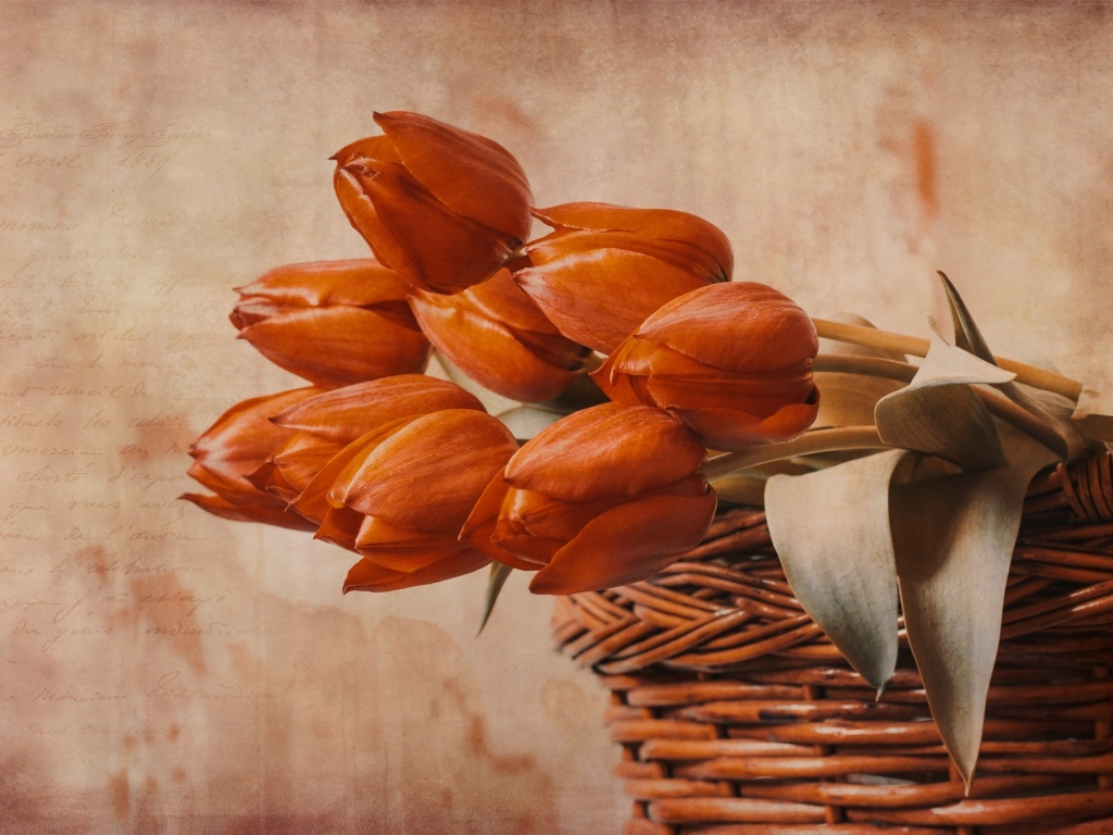 Букет красных тюльпанов в корзине на столе