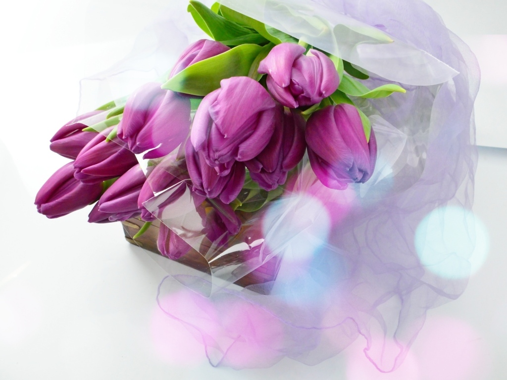 Букет тюльпанов с подарком на белом фоне