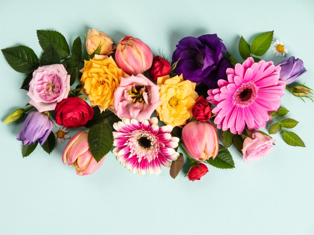 Композиция из разных цветов на сером фоне