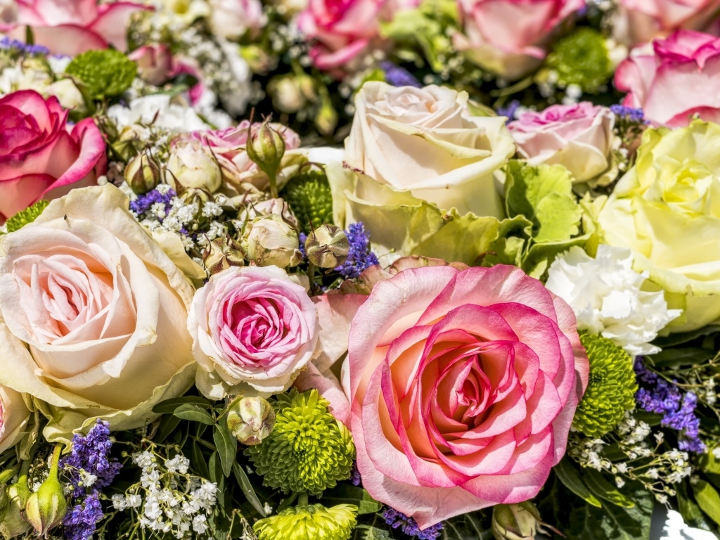 Нежные розы и цветы гипсофилы крупным планом