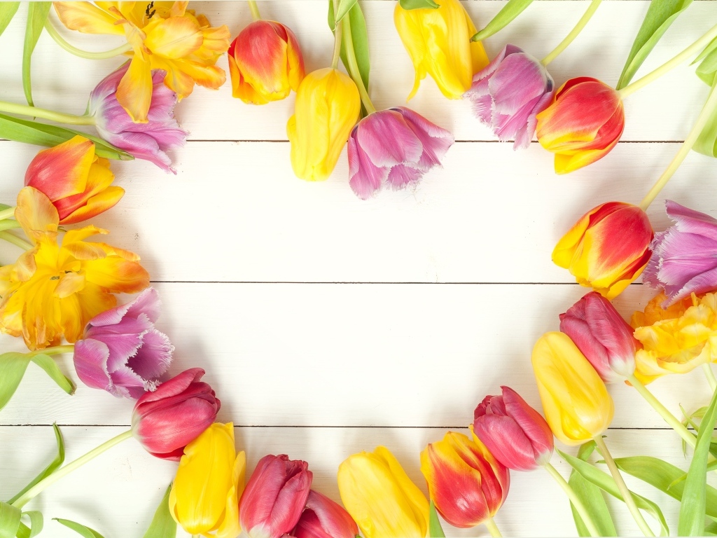 Сердце из разноцветных тюльпанов на белом столе