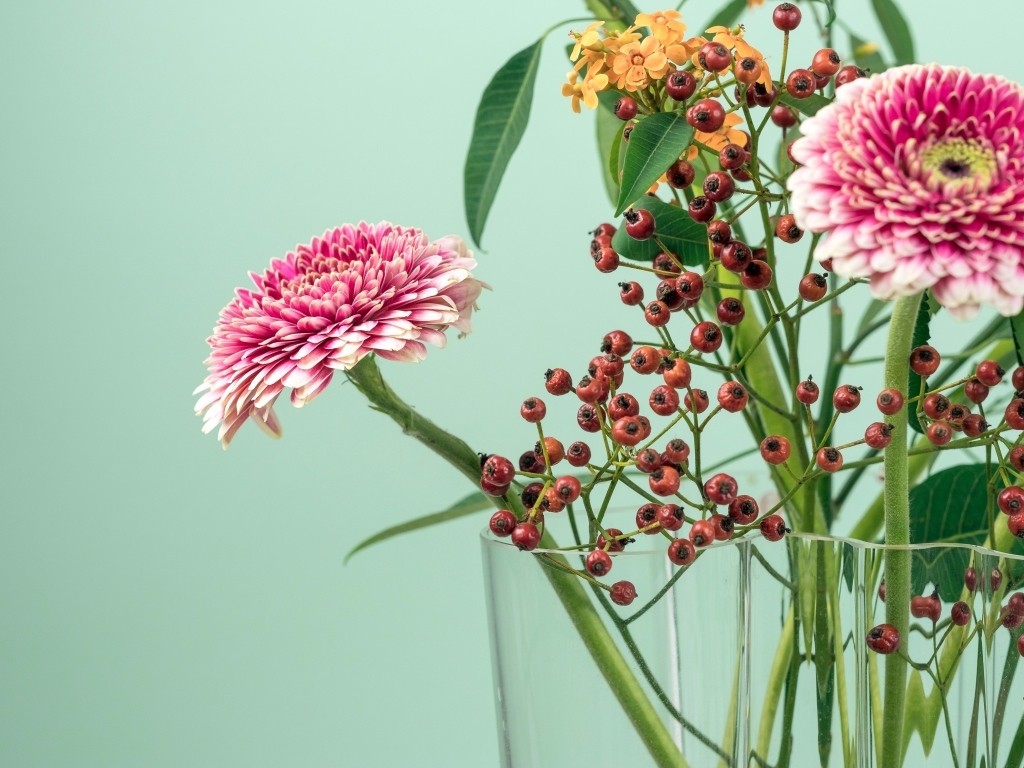 Розовые герберы с ветками на голубом фоне