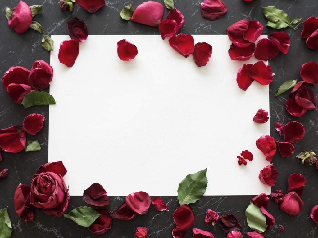 Лепестки розы с белым листом на столе