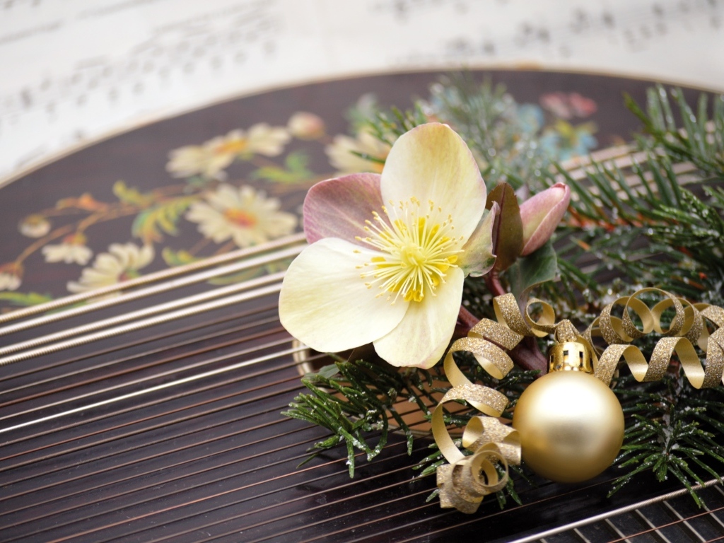 Цветок лежит на музыкальном инструменте