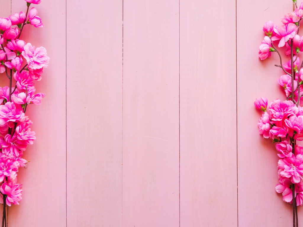 Два весенних цветка на розовом фоне