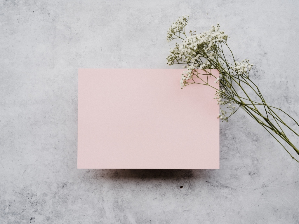 Белые цветы и лист розовой бумаги на сером фоне