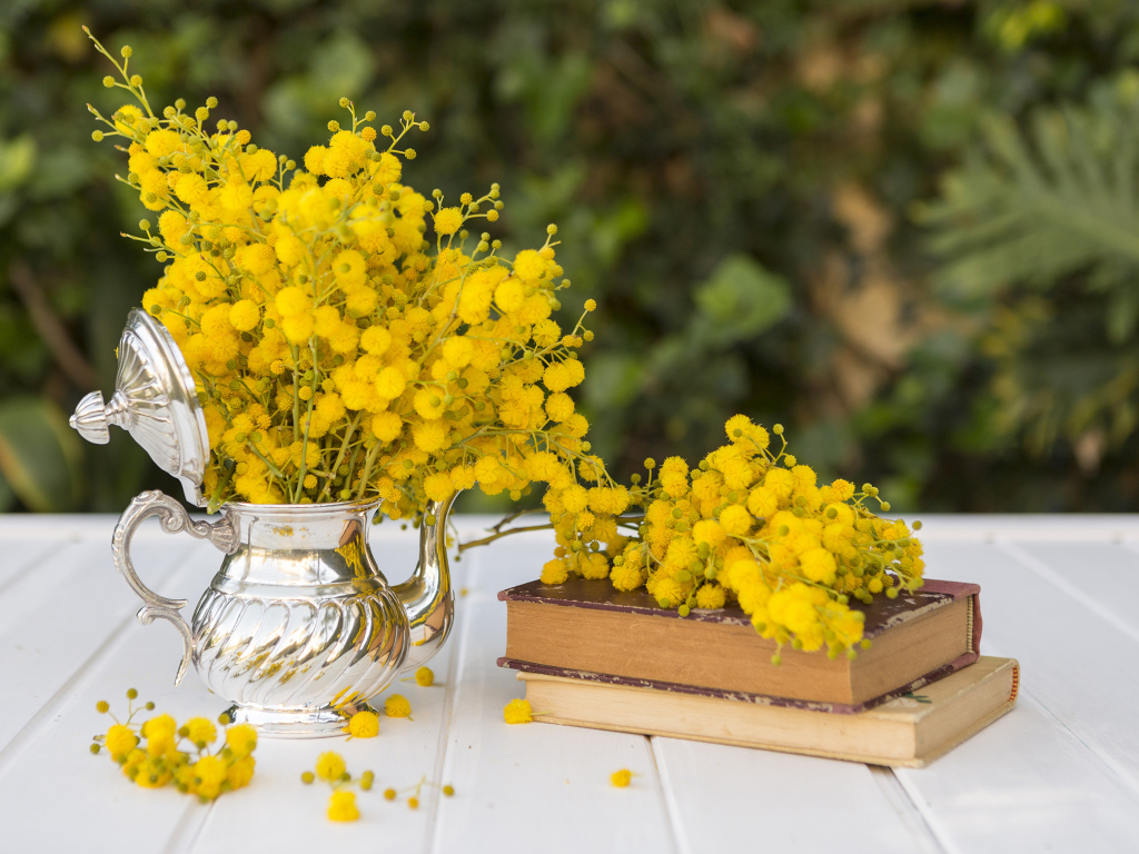 Желтые цветы мимозы на столе с книгами