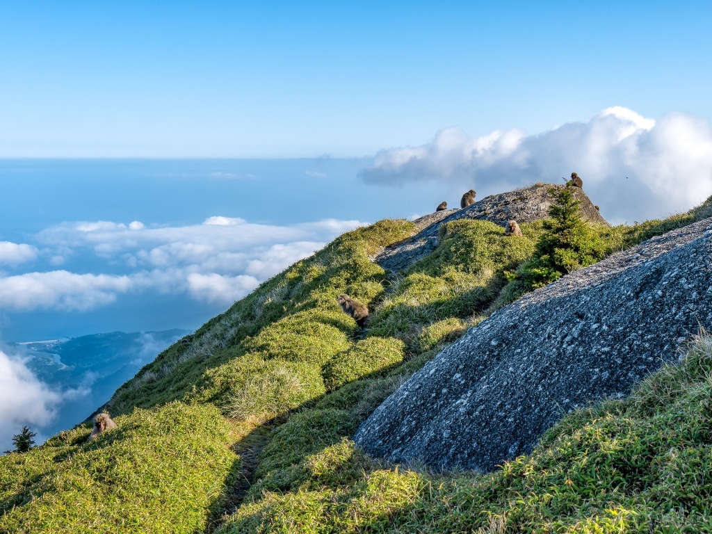Высокие покрытые зеленью горы выше облаков