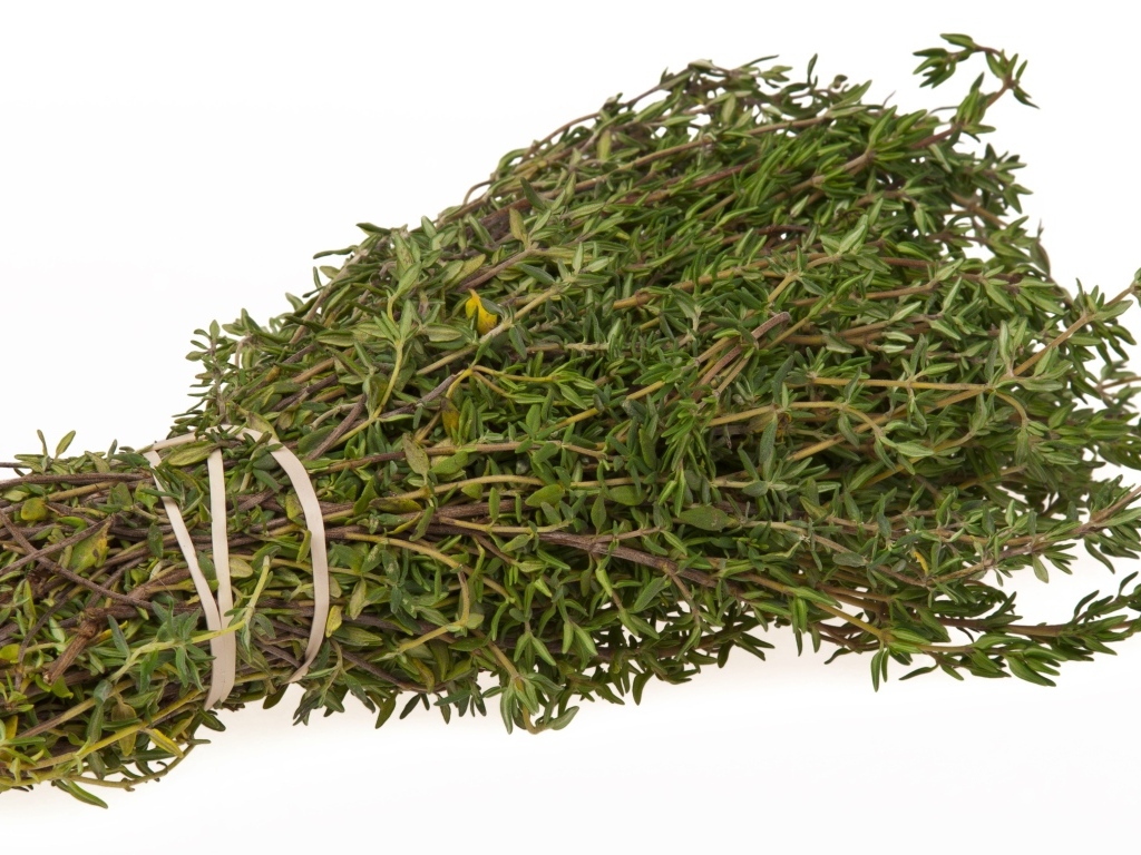 Пучок листьев розмарина на белом фоне