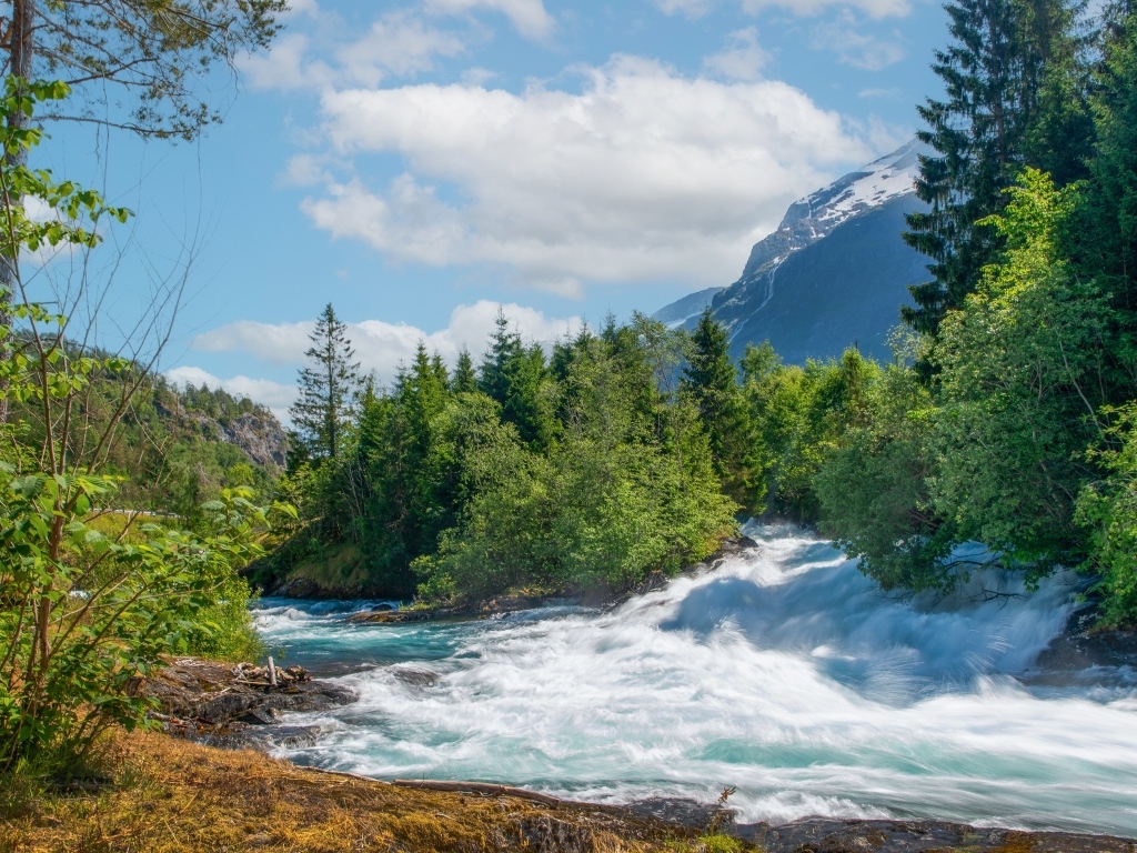 Бушующая быстрая река в лесу