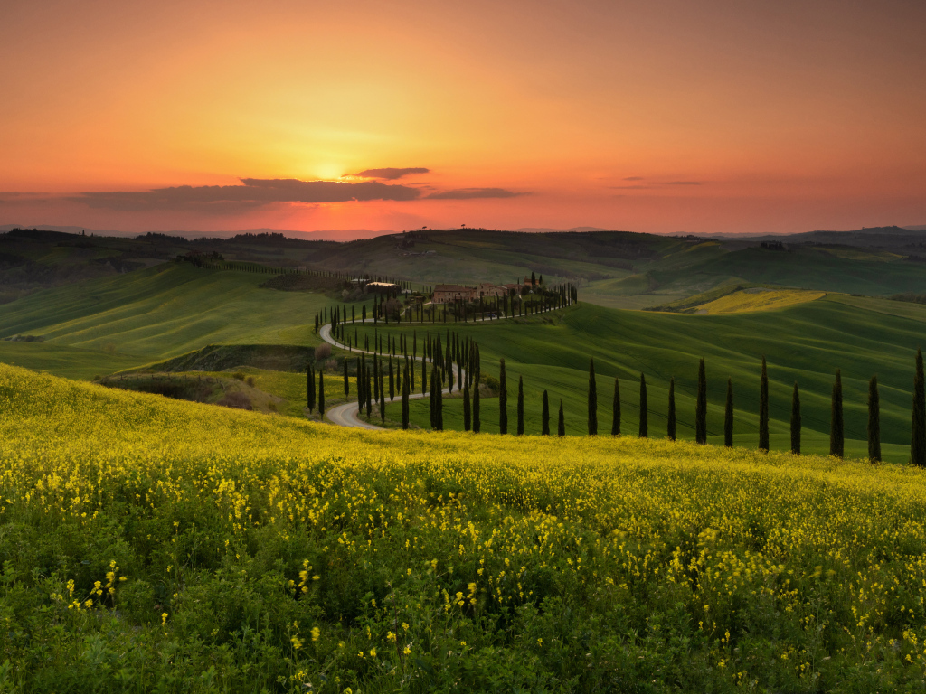 Красивый вид на зеленые холмы на закате