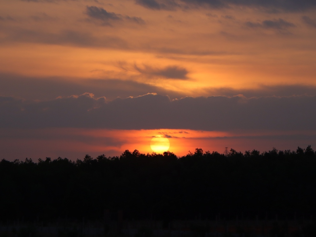 Яркое солнце садится за лесом
