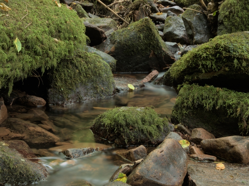 Лесной водопад стекает по холодным камням осенью