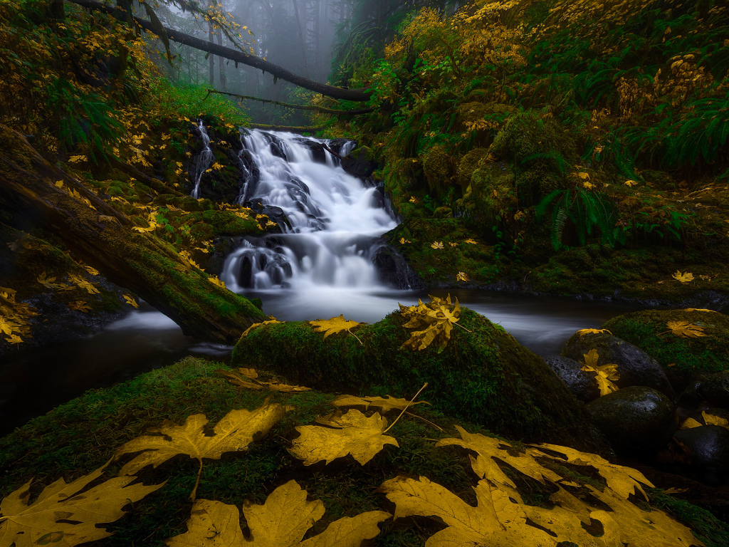 Водопад в лесу осенью